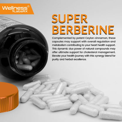 WELLNESS LABSRX Berberin 1.000 mg – mit Ceylon-Zimt, schwarzem Pfeffer und Apfelessig, 120 Kapseln, herzunterstützendes Nahrungsergänzungsmittel