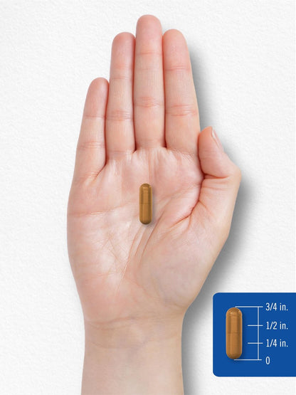 Carlyle Vitamin B2 200 mg | 150 Kapseln | Riboflavin | Nicht-GVO & Glutenfrei | Essentielles Nahrungsergänzungsmittel