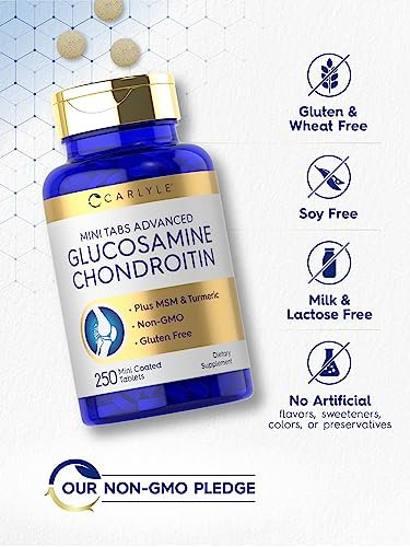 Carlyle Glucosamin Chondroitin MSM | 250 Minitabletten | Fortschrittliche Formel mit Kurkuma | Non-GMO, Glutenfrei