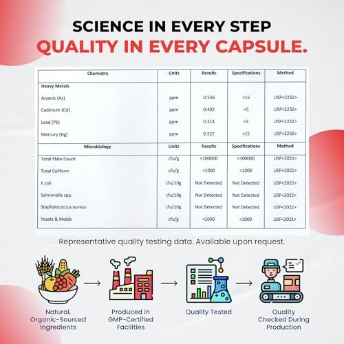 Ultra Herbs Premium Berberin mit Zimt und Mariendistel – Unterstützt Leberfunktion, Darmgesundheit und Immunsystem (150 Kapseln)