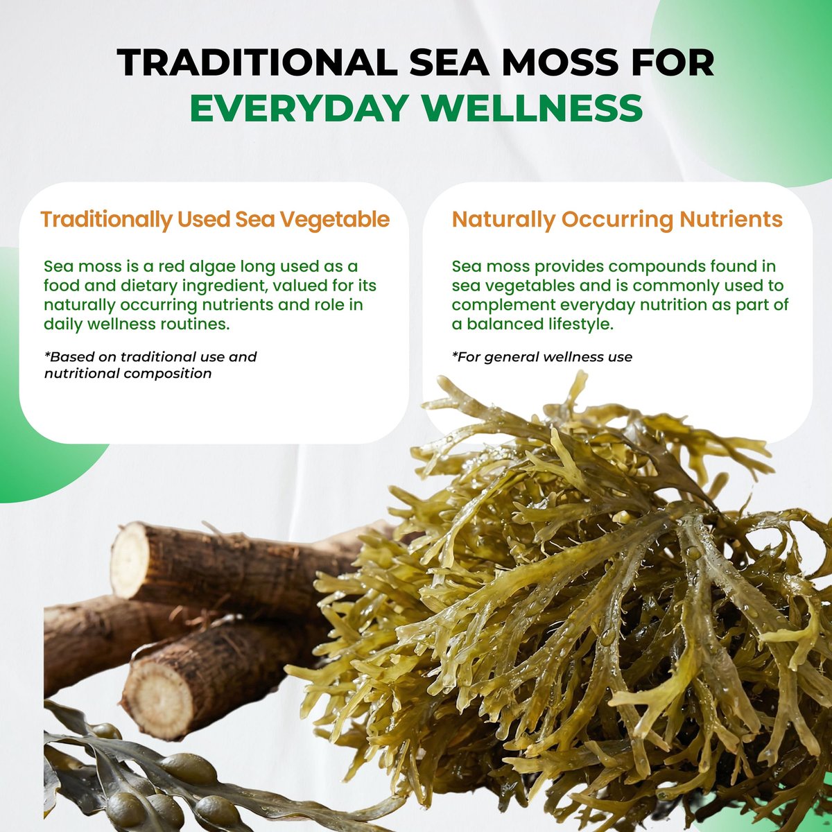Organische Sea Moss Kapseln mit Schwarzkümmelöl, Ashwagandha, Klettenwurzel, Blasentang für Immunsystem, Darm, Haut & Energie (150 Kapseln)