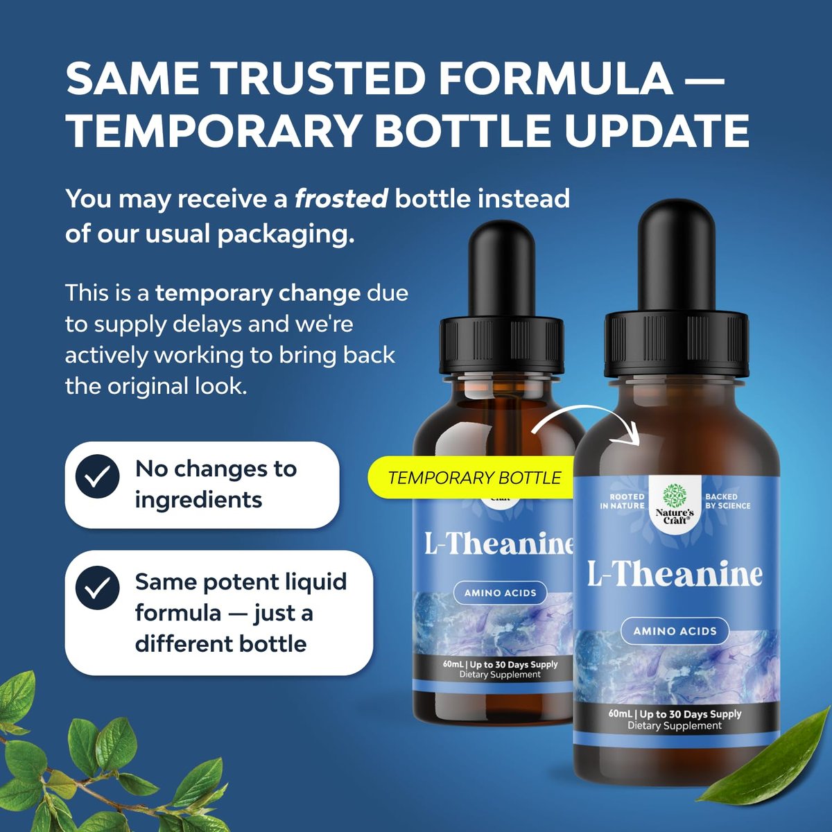 Hochdosierte L-Theanin Liquid Drops – Nootropikum Fokus Ergänzung mit L Theanin 200mg pro Portion und Kamillenextrakt für Erwachsene und Kinder Entspannung und Fokus – 60 ml