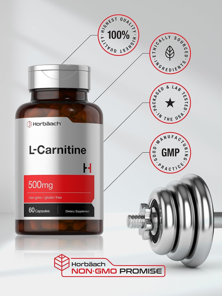 Horbäach L-Carnitin Kapseln 500 mg | 60 Kapseln | als L-Carnitin L-Tartrat | Non-GMO & Glutenfrei