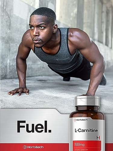 Horbäach L-Carnitin Kapseln 500 mg | 60 Kapseln | als L-Carnitin L-Tartrat | Non-GMO & Glutenfrei