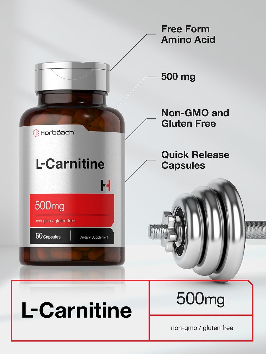 Horbäach L-Carnitin Kapseln 500 mg | 60 Kapseln | als L-Carnitin L-Tartrat | Non-GMO & Glutenfrei