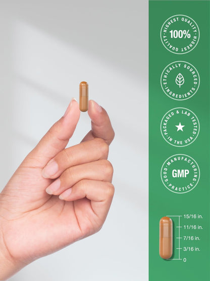 Horbäach Kurkuma Curcumin Komplex | 180 Kapseln | mit Schwarzem Pfeffer & Sauerkirsche | Nicht-GVO & Glutenfrei
