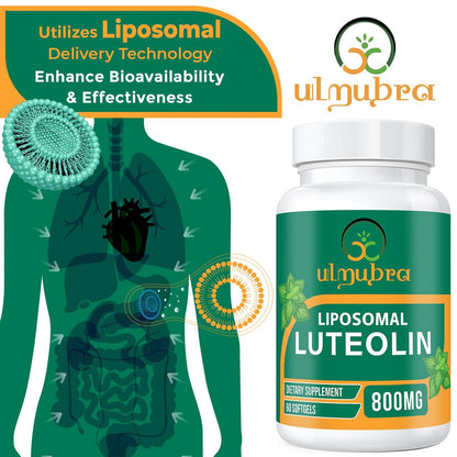 Ulmubra 800 mg Liposomales Luteolin Supplement – Maximale Absorption, Hochwertiges Antioxidans für Gehirn und allgemeines Wohlbefinden, 60 Softgels – 30-Tage-Vorrat