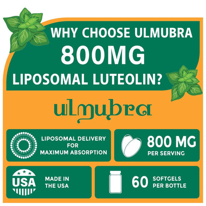 Ulmubra 800 mg Liposomales Luteolin Supplement – Maximale Absorption, Hochwertiges Antioxidans für Gehirn und allgemeines Wohlbefinden, 60 Softgels – 30-Tage-Vorrat