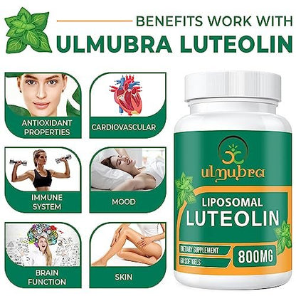 Ulmubra 800 mg Liposomales Luteolin Supplement – Maximale Absorption, Hochwertiges Antioxidans für Gehirn und allgemeines Wohlbefinden, 60 Softgels – 30-Tage-Vorrat