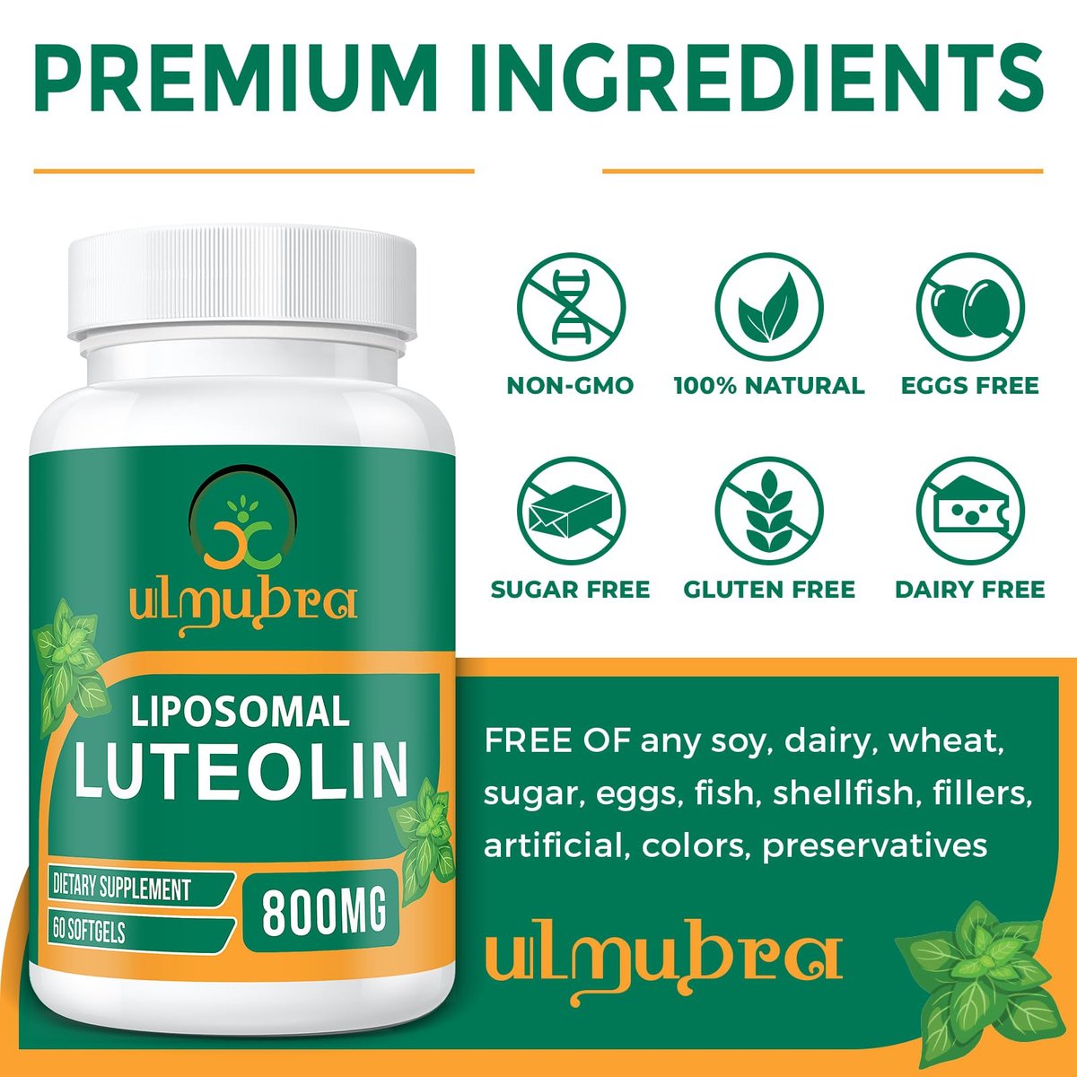 Ulmubra 800 mg Liposomales Luteolin Supplement – Maximale Absorption, Hochwertiges Antioxidans für Gehirn und allgemeines Wohlbefinden, 60 Softgels – 30-Tage-Vorrat