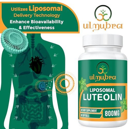 Ulmubra 800 mg Liposomales Luteolin Supplement – Maximale Absorption, Hochwertiges Antioxidans für Gehirn und allgemeines Wohlbefinden, 60 Softgels – 30-Tage-Vorrat