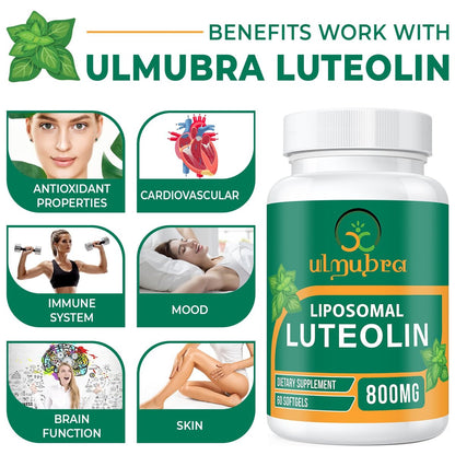 Ulmubra 800 mg Liposomales Luteolin Supplement – Maximale Absorption, Hochwertiges Antioxidans für Gehirn und allgemeines Wohlbefinden, 60 Softgels – 30-Tage-Vorrat