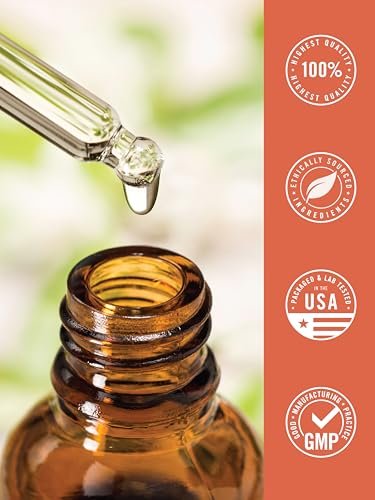 Carlyle Jod-Tropfen flüssig 118 ml | 150 mcg | Jod & Kaliumjodid Nahrungsergänzung | Vegane Flüssigtinktur | Non-GMO, Glutenfrei