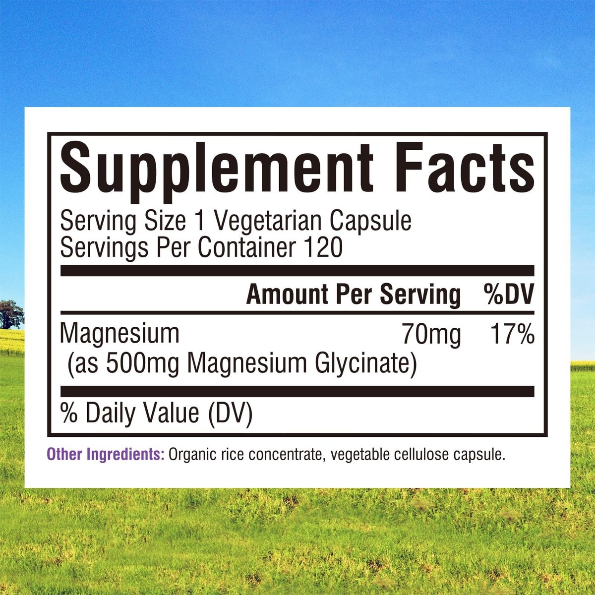 Innate Vitality Magnesium Glycinat 500mg | 70mg Elementares Magnesium – Hoch absorbierbar, nicht gepuffert, vegan & glutenfrei – 120 Kapseln