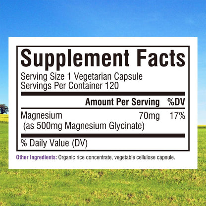 Innate Vitality Magnesium Glycinat 500mg | 70mg Elementares Magnesium – Hoch absorbierbar, nicht gepuffert, vegan & glutenfrei – 120 Kapseln