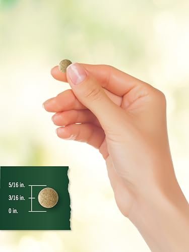 Carlyle Ginkgo Biloba Extra Strength – 200 Vegetarische Tabletten, Nicht-GVO, Glutenfrei