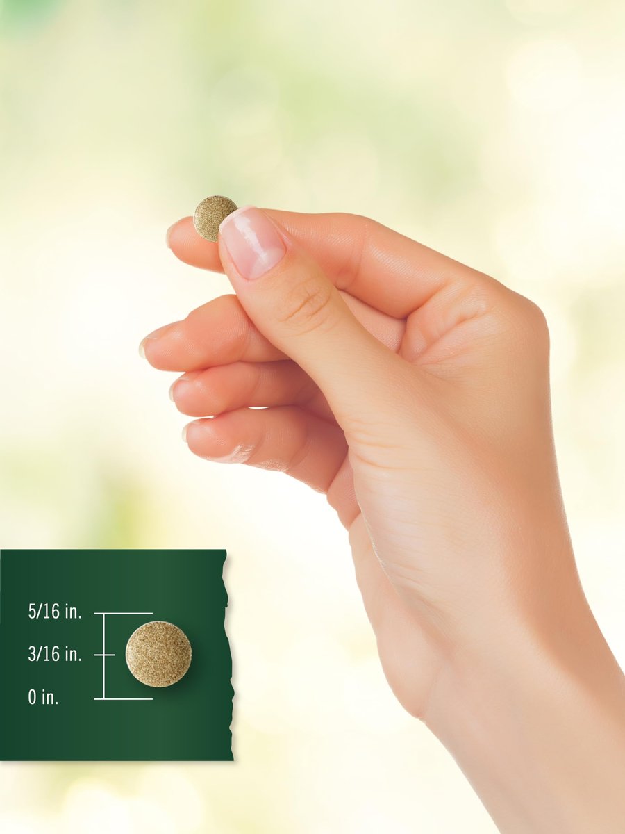 Carlyle Ginkgo Biloba Extra Strength – 200 Vegetarische Tabletten, Nicht-GVO, Glutenfrei