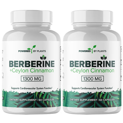 POWERED X PLANTS Reines Berberin Supplement - 1300 mg Berberin mit Ceylon-Zimt für Stoffwechsel & Immunsystem Unterstützung - 2er Pack, 120 Portionen