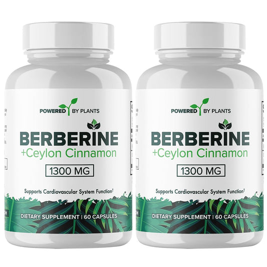 POWERED X PLANTS Reines Berberin Supplement - 1300 mg Berberin mit Ceylon-Zimt für Stoffwechsel & Immunsystem Unterstützung - 2er Pack, 120 Portionen