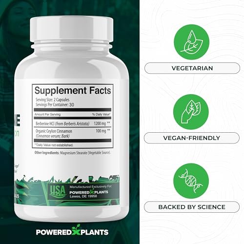 POWERED X PLANTS Reines Berberin-Präparat - 1300 mg Berberin mit Ceylon-Zimt für Stoffwechsel- und Immunsystem-Unterstützung - 60 Portionen