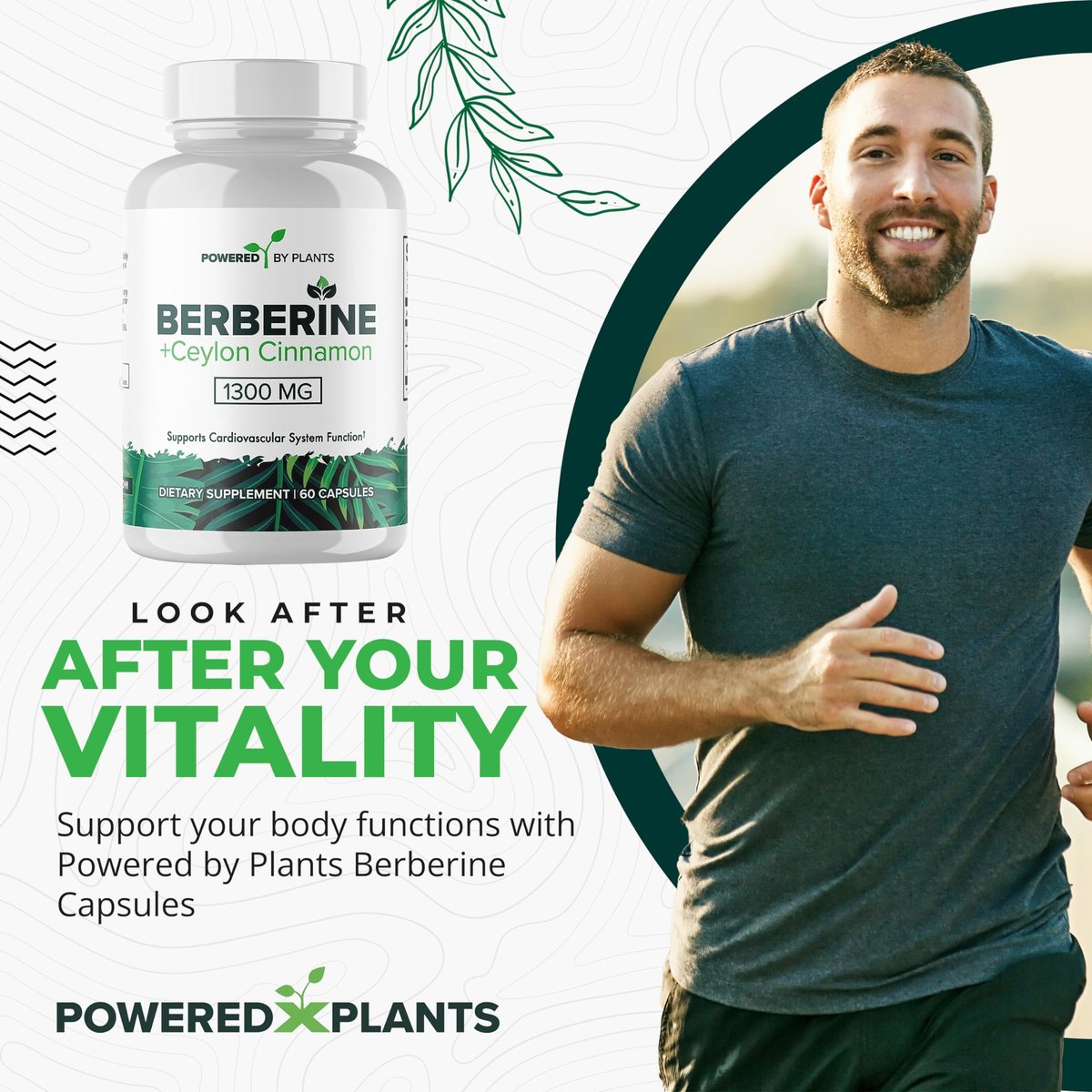 POWERED X PLANTS Reines Berberin-Präparat - 1300 mg Berberin mit Ceylon-Zimt für Stoffwechsel- und Immunsystem-Unterstützung - 60 Portionen