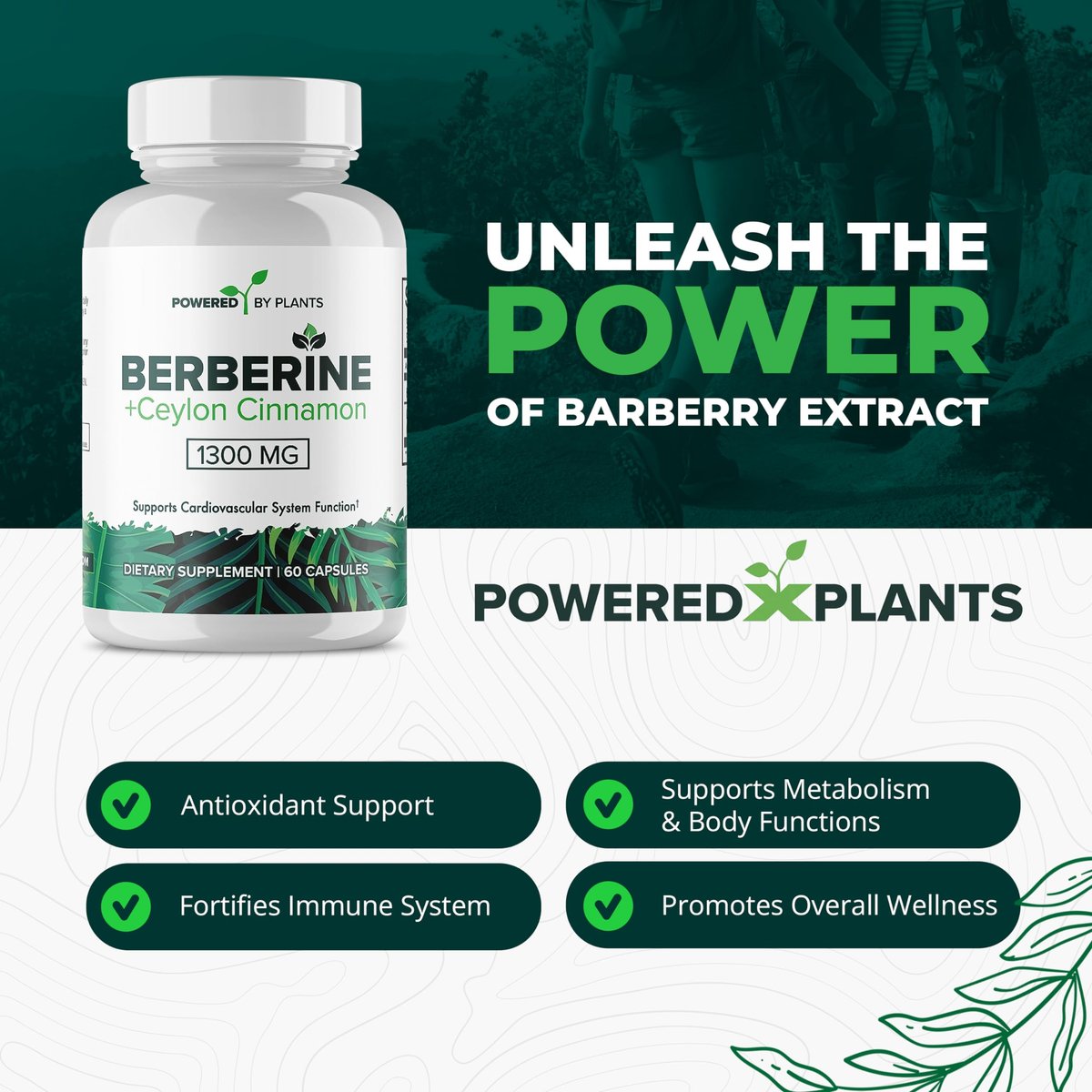 POWERED X PLANTS Reines Berberin-Präparat - 1300 mg Berberin mit Ceylon-Zimt für Stoffwechsel- und Immunsystem-Unterstützung - 60 Portionen