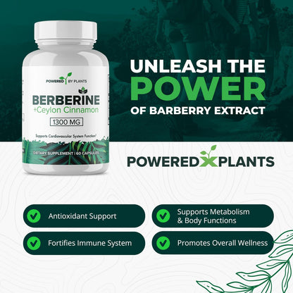 POWERED X PLANTS Reines Berberin-Präparat - 1300 mg Berberin mit Ceylon-Zimt für Stoffwechsel- und Immunsystem-Unterstützung - 60 Portionen