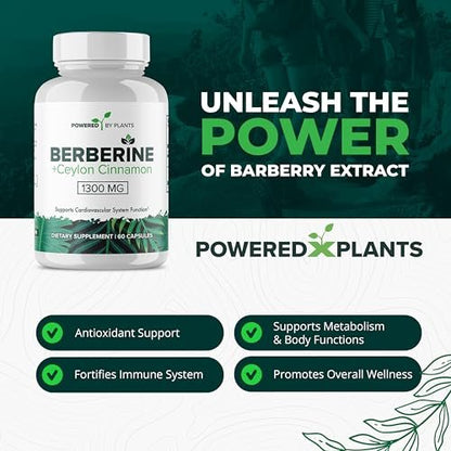 POWERED X PLANTS Reines Berberin-Präparat - 1300 mg Berberin mit Ceylon-Zimt für Stoffwechsel- und Immunsystem-Unterstützung - 60 Portionen