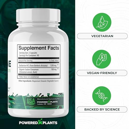 POWERED X PLANTS Reines Berberin-Präparat - 1300 mg Berberin mit Ceylon-Zimt für Stoffwechsel- und Immunsystem-Unterstützung - 60 Portionen
