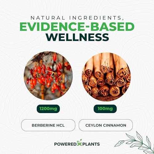 POWERED X PLANTS Reines Berberin-Präparat - 1300 mg Berberin mit Ceylon-Zimt für Stoffwechsel- und Immunsystem-Unterstützung - 60 Portionen