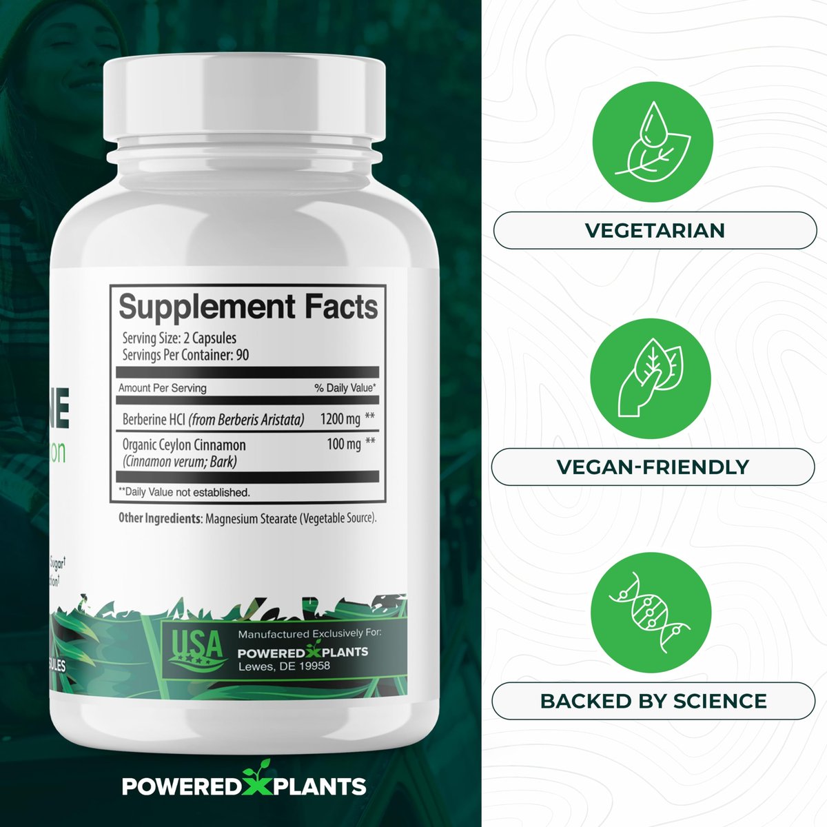 POWERED X PLANTS Reines Berberin-Präparat - 1300 mg Berberin mit Ceylon-Zimt für Stoffwechsel- und Immunsystem-Unterstützung - 60 Portionen
