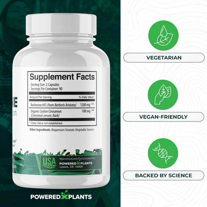POWERED X PLANTS Reines Berberin-Präparat - 1300 mg Berberin mit Ceylon-Zimt für Stoffwechsel- und Immunsystem-Unterstützung - 60 Portionen