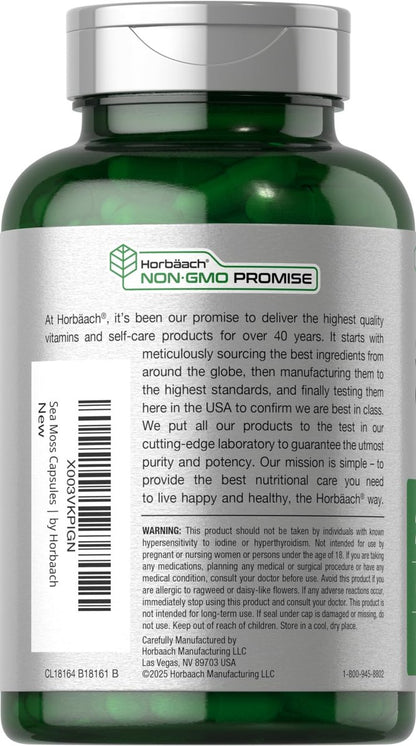Horbäach Sea Moss Complex Kapseln | 120 Kapseln | Komplexformel mit Bladderwrack & Klettenwurzel | Non-GMO & Glutenfrei
