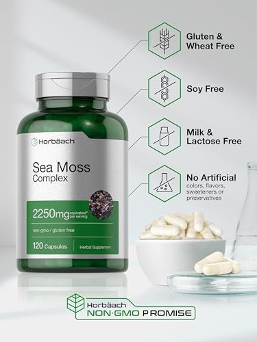Horbäach Sea Moss Complex Kapseln | 120 Kapseln | Komplexformel mit Bladderwrack & Klettenwurzel | Non-GMO & Glutenfrei