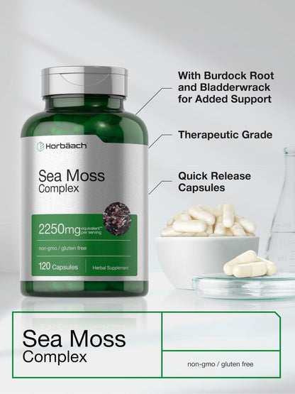 Horbäach Sea Moss Complex Kapseln | 120 Kapseln | Komplexformel mit Bladderwrack & Klettenwurzel | Non-GMO & Glutenfrei