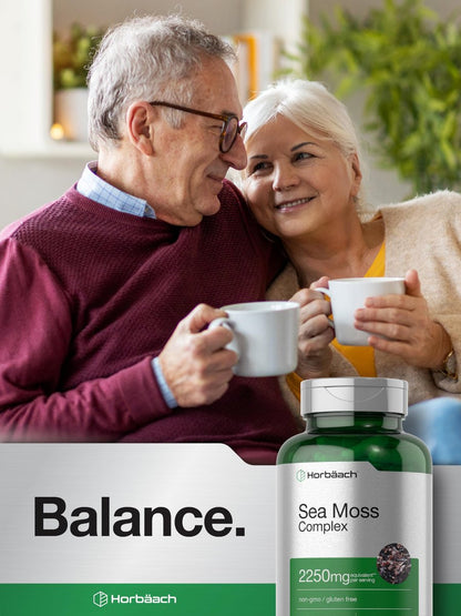 Horbäach Sea Moss Complex Kapseln | 120 Kapseln | Komplexformel mit Bladderwrack & Klettenwurzel | Non-GMO & Glutenfrei