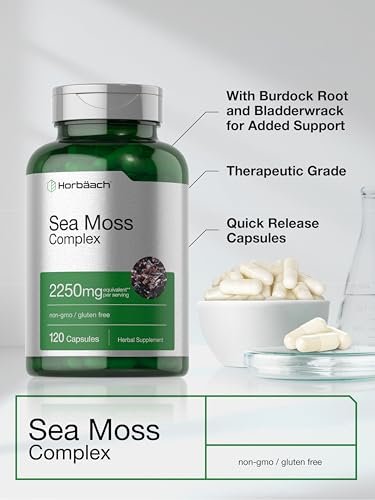 Horbäach Sea Moss Complex Kapseln | 120 Kapseln | Komplexformel mit Bladderwrack & Klettenwurzel | Non-GMO & Glutenfrei