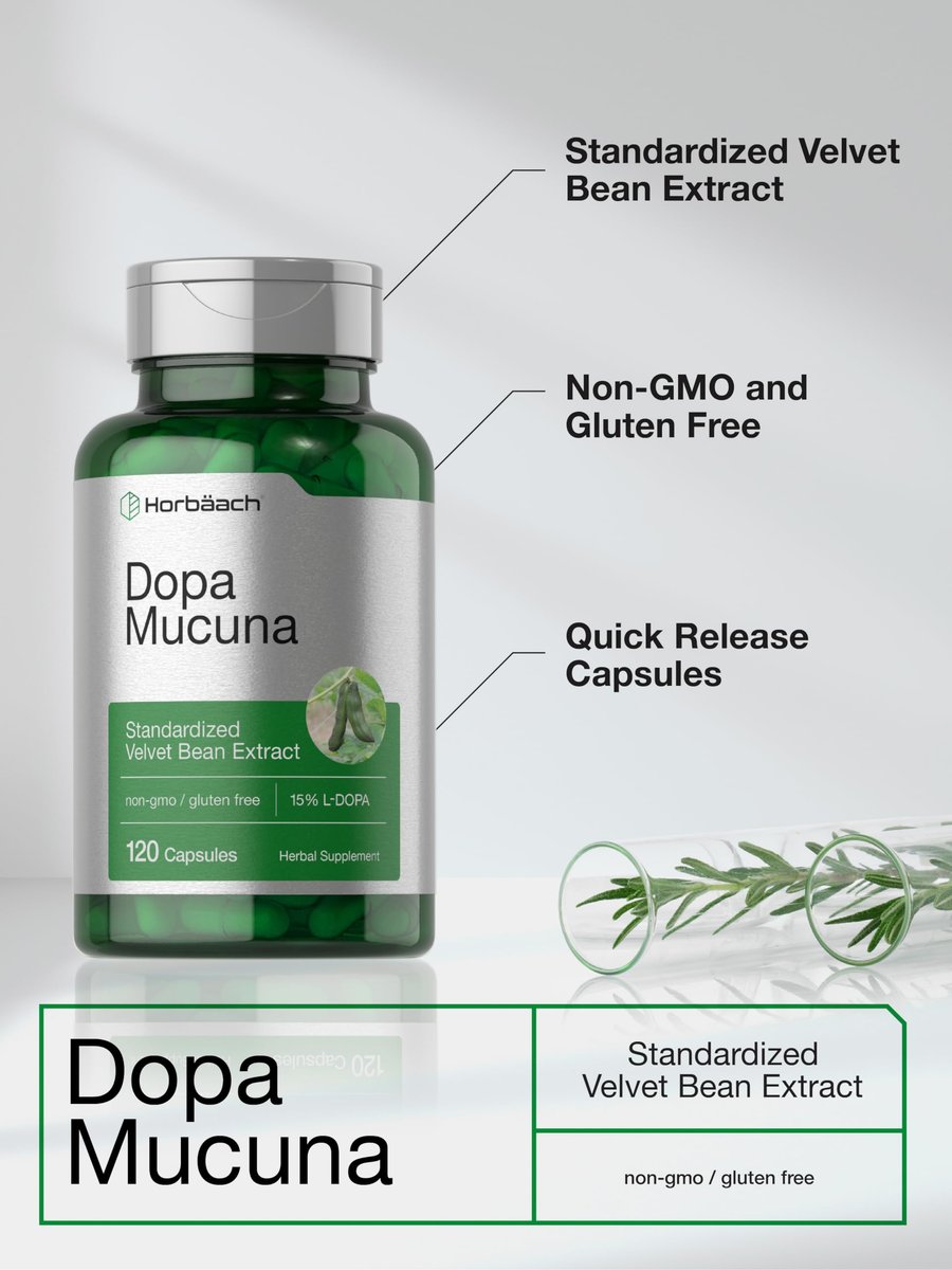 Horbäach Dopa Mucuna Kapseln | 120 Kapseln | Samtbohnen Kräuterextrakt | 15% L-Dopa | Non-GMO & Glutenfrei