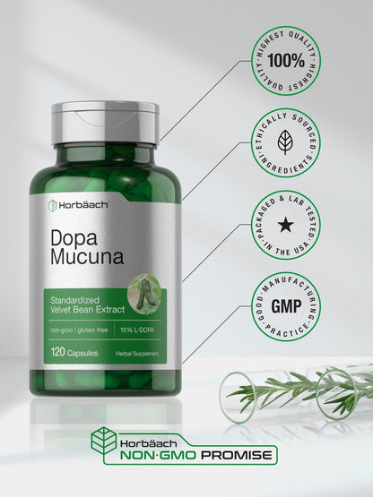Horbäach Dopa Mucuna Kapseln | 120 Kapseln | Samtbohnen Kräuterextrakt | 15% L-Dopa | Non-GMO & Glutenfrei