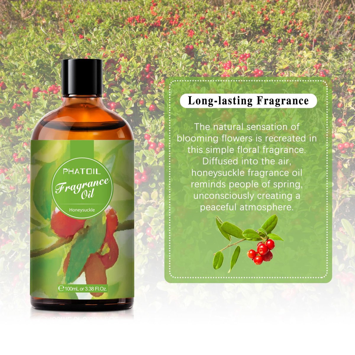 PHATOIL 3,38 FL. OZ. Geißblatt-Duftöl für Aromatherapie, ätherisches Öl für Diffuser, DIY Kerzen- und Seifenherstellung, 100 ml