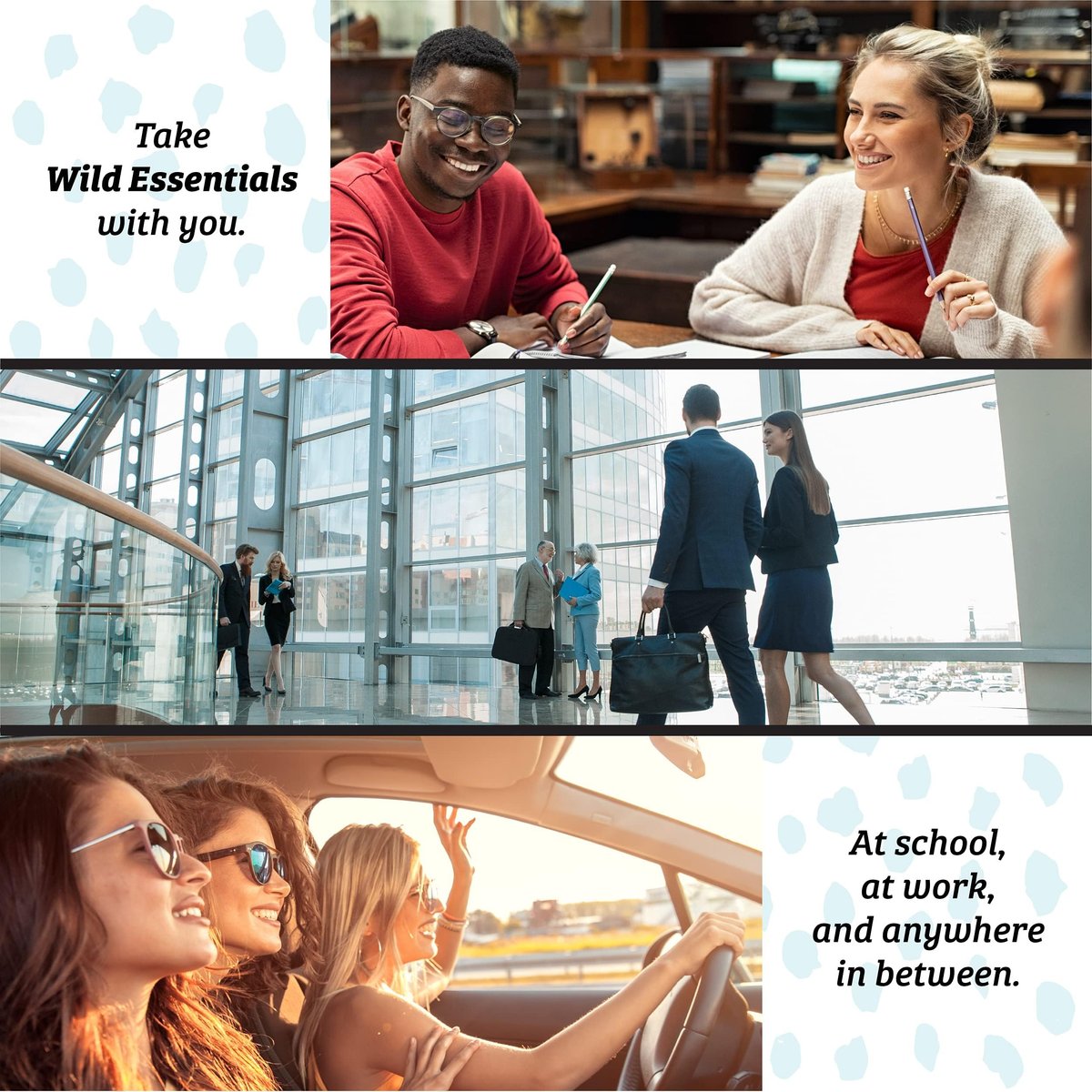 Wild Essentials Weißer Salbei 100% Reines Ätherisches Öl - 10ml, Premium-Qualität, Hergestellt und Abgefüllt in den USA, Reinigend, Klärend, Entspannend