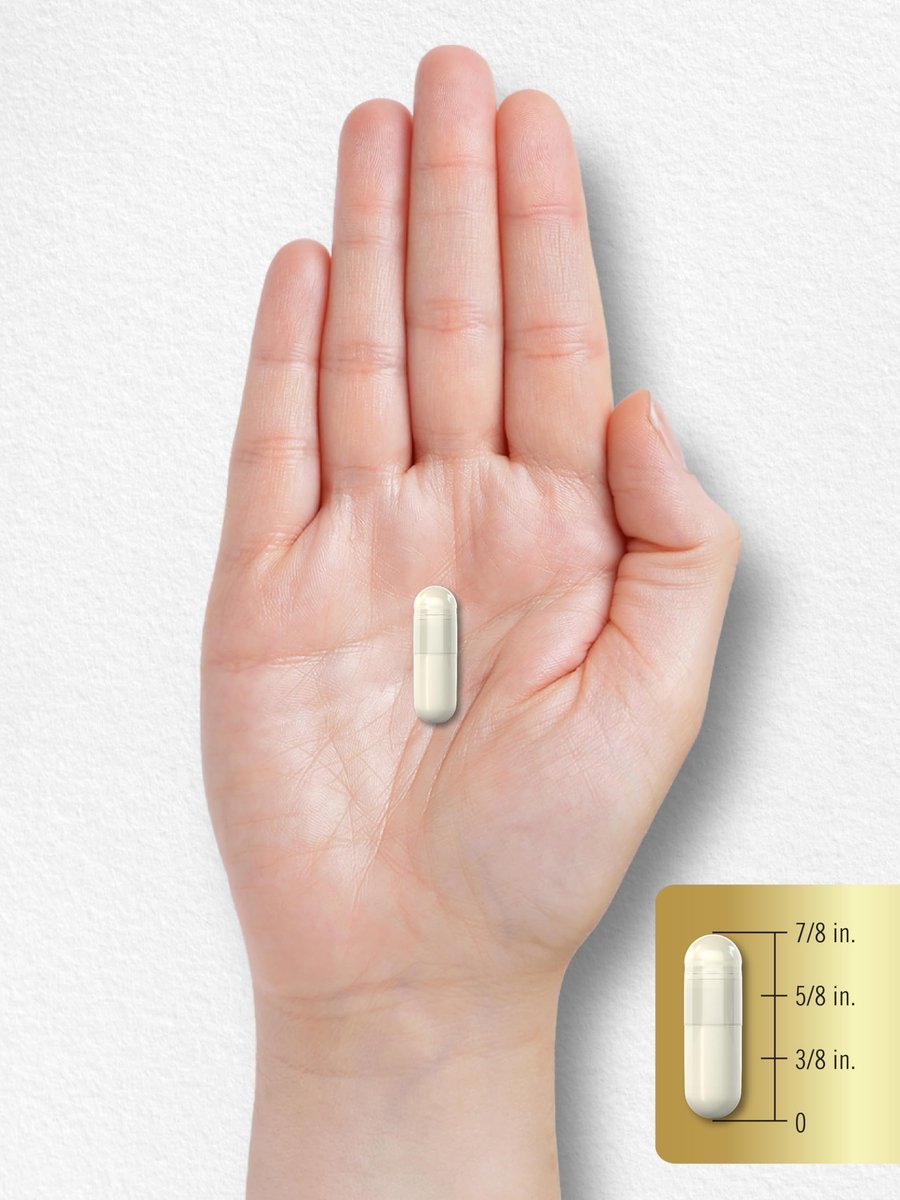 Carlyle Acetyl-L-Carnitin HCL Kapseln | 500 mg pro Portion | 180 Kapseln | Fortschrittliche Athletenformel | Non-GMO & Glutenfrei