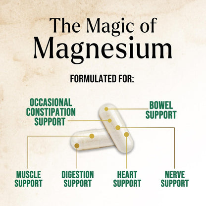 Magnesiumcitrat Kapseln – Maximale Absorption Magnesiumpulver – Unterstützung für Muskeln, Knochen, Nerven & Herz – Hochwertige Formel, sanft für Frauen & Männer – Abgefüllt in den USA – 120 Kapseln