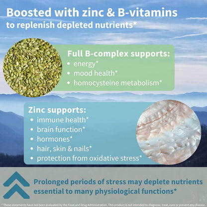 Igennus Hochdosiertes Ashwagandha, Magnesium & L-Theanin Stressabbau-Komplex, KSM-66 Wurzelextrakt Adaptogene, angereichert mit Methylfolat, Zink & Biotin Clean Label, 60 schnell wirkende Kapseln