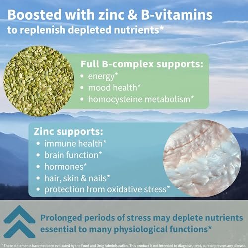 Igennus Hochdosiertes Ashwagandha, Magnesium & L-Theanin Stressabbau-Komplex, KSM-66 Wurzelextrakt Adaptogene, angereichert mit Methylfolat, Zink & Biotin Clean Label, 60 schnell wirkende Kapseln