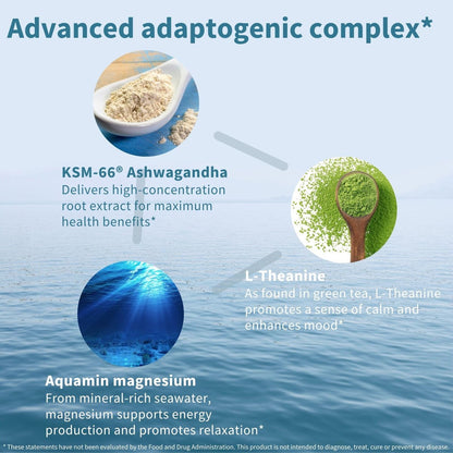Igennus Hochdosiertes Ashwagandha, Magnesium & L-Theanin Stressabbau-Komplex, KSM-66 Wurzelextrakt Adaptogene, angereichert mit Methylfolat, Zink & Biotin Clean Label, 60 schnell wirkende Kapseln