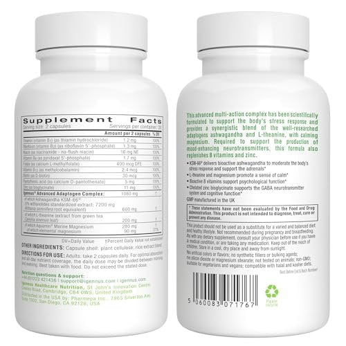 Igennus Hochdosiertes Ashwagandha, Magnesium & L-Theanin Stressabbau-Komplex, KSM-66 Wurzelextrakt Adaptogene, angereichert mit Methylfolat, Zink & Biotin Clean Label, 60 schnell wirkende Kapseln
