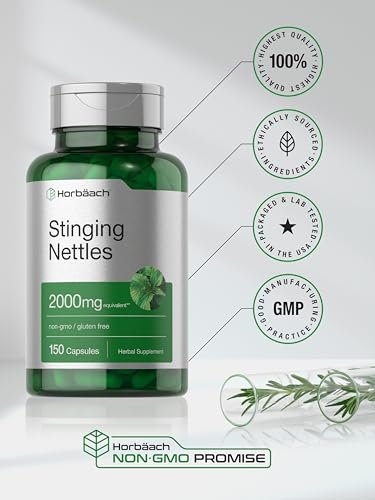 Horbäach Brennnessel Kapseln | 150 Stück | Pflanzlicher Blattextrakt | Non-GMO, Glutenfrei
