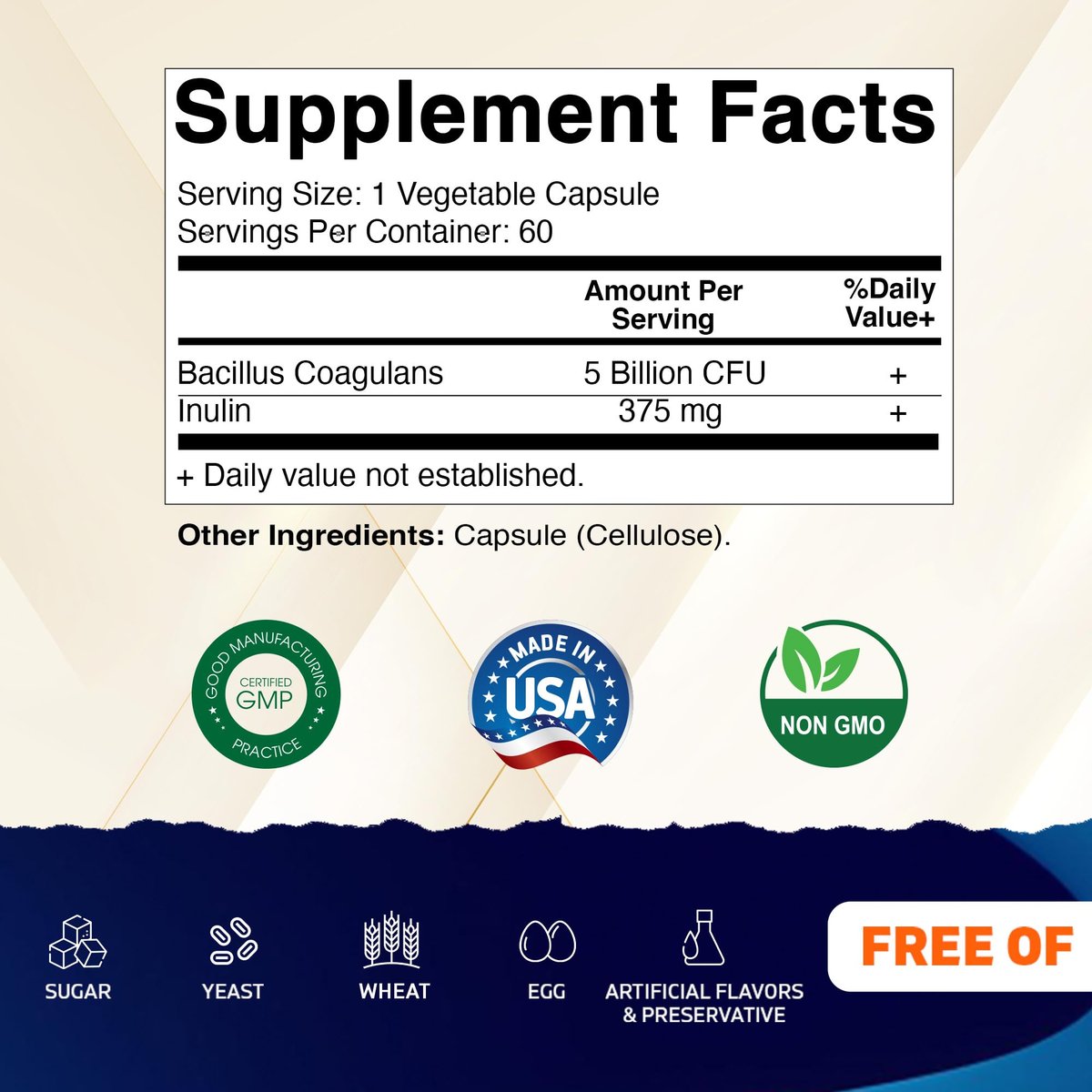 Vitamatic Bacillus Coagulans Probiotikum – Regalstabil, 60 Kapseln, fördert die Verdauungsgesundheit