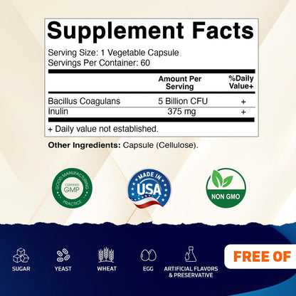 Vitamatic Bacillus Coagulans Probiotikum – Regalstabil, 60 Kapseln, fördert die Verdauungsgesundheit